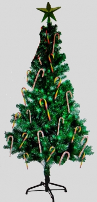 RAINER ALBERO NATALE H.1,50